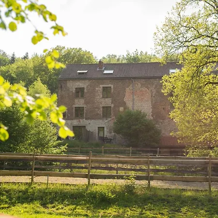 Megi Des Aguesses * Andenne