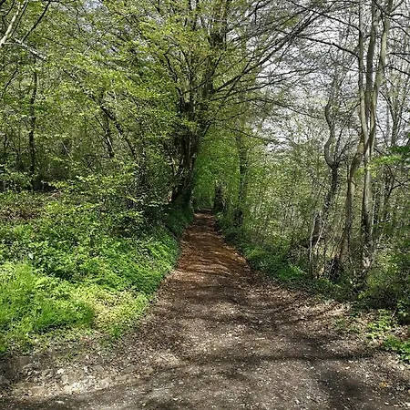 Megi Des Aguesses Andenne